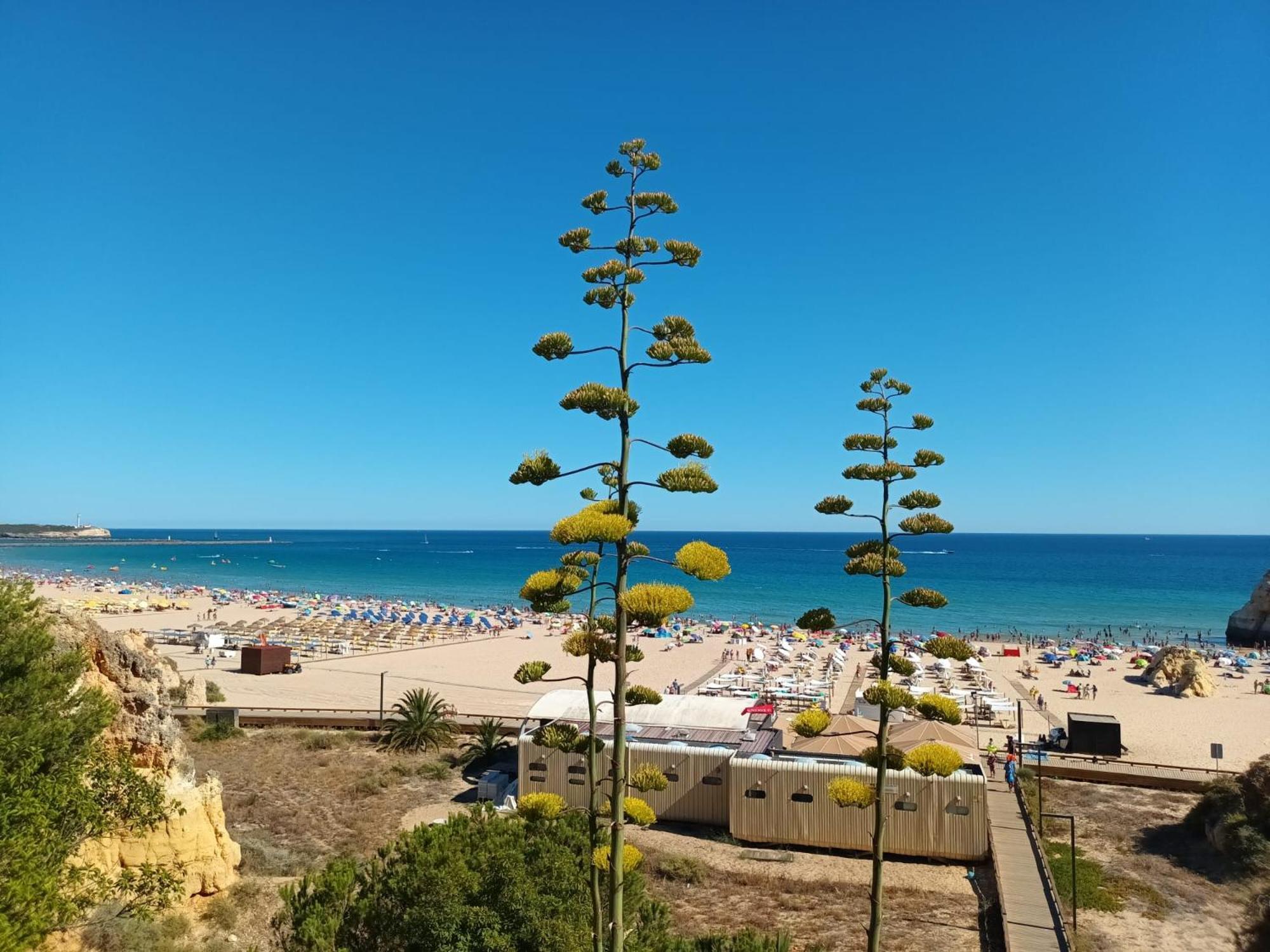 פורטימאו Luxury 2 Min Beach With Balcony, Ocean View, Wifi, Ac, Smarttv מראה חיצוני תמונה